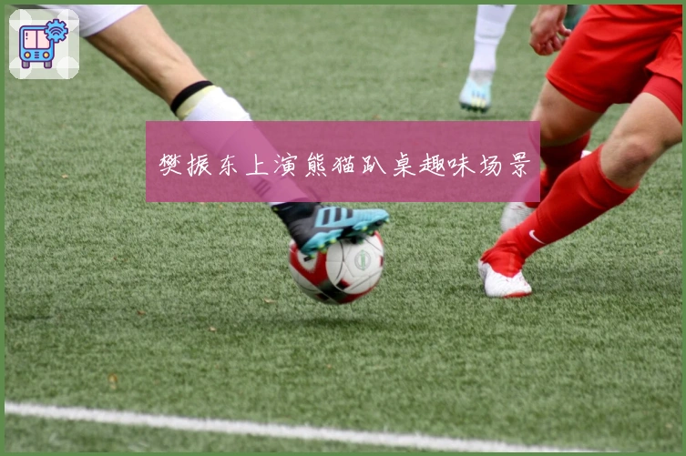 樊振东上演熊猫趴桌趣味场景